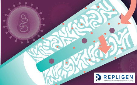 ﻿﻿Commercial-scale manufacture of lentivirus for ex vivo and in vivo therapies