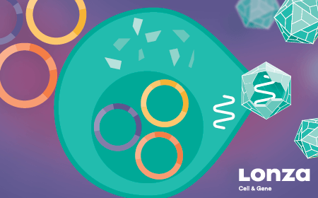 Improving AAV productivity and packaging efficiency for transient and producer cell lines through plasmid engineering