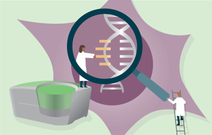 HEK293 residual DNA testing in cell and gene therapy