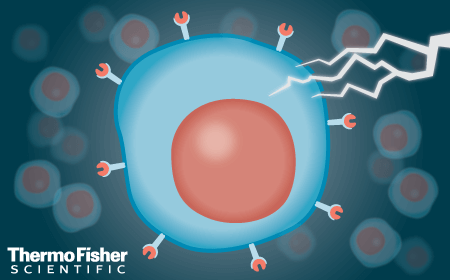 Enhancing CAR-T cell generation: optimizing non-viral engineering of resting T cells for improved cancer immunotherapy