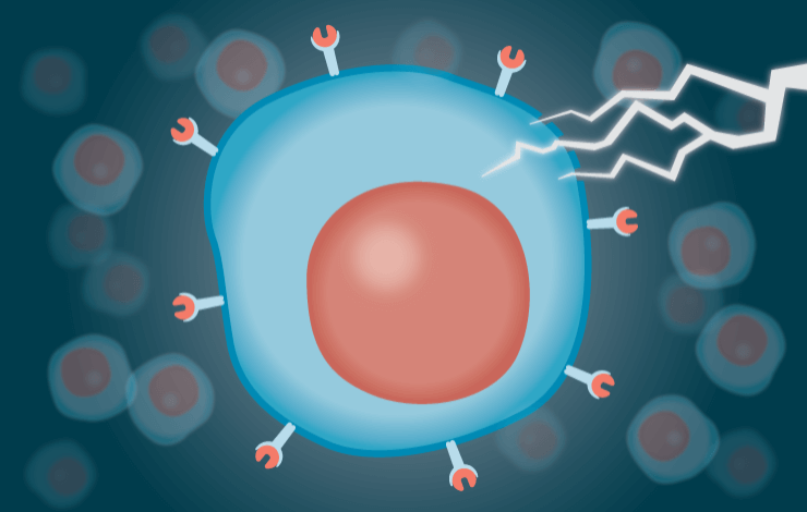 Enhancing CAR-T cell generation: optimizing non-viral engineering of resting T cells for improved cancer immunotherapy