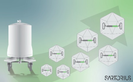 From process development to manufacturing: how to successfully optimize and scale up the AAV enrichment step on novel﻿ CIMmultus QA HR line