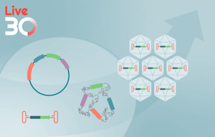 ﻿﻿It’s a match: cell line engineering for AAV manufacturing expands the options for therapeutic programs