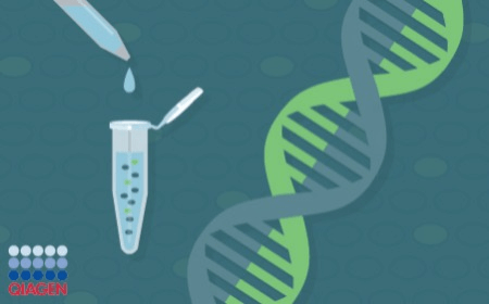 Quadplex dPCR as a tool to analyze genome integrity and heterogeneity in gene therapy drug products