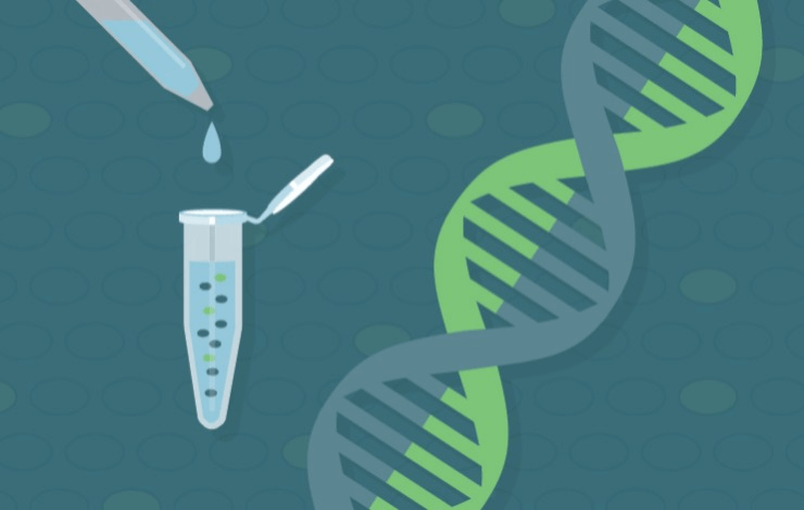 Quadplex dPCR as a tool to analyze genome integrity and heterogeneity in gene therapy drug products