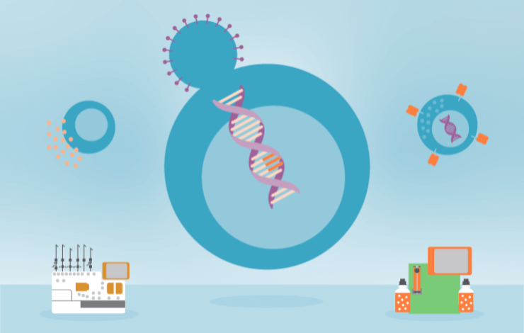 ﻿﻿CAR-NK production for clinical applications using BaEV lentivirus and the NK cell engineering platform