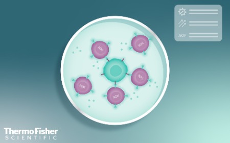 Supporting efficacy and scaling with a next-generation T cell AOF formulation medium