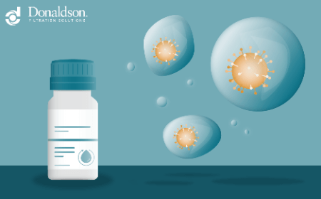 Innovative approaches to lentiviral vector purification: achieving high yields and purity with a chromatography-free process