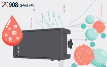 Improving cell therapy manufacturing with on-line monitoring of critical process parameters during cell expansion