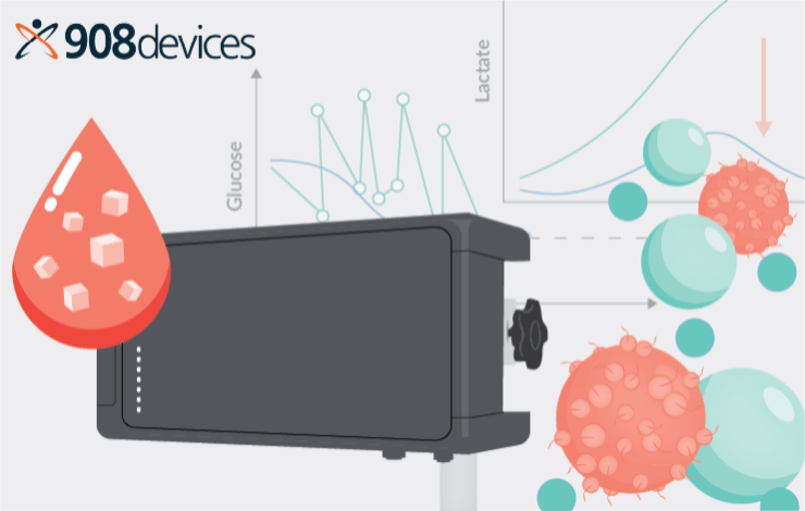 Improving cell therapy manufacturing with on-line monitoring of critical process parameters during cell expansion