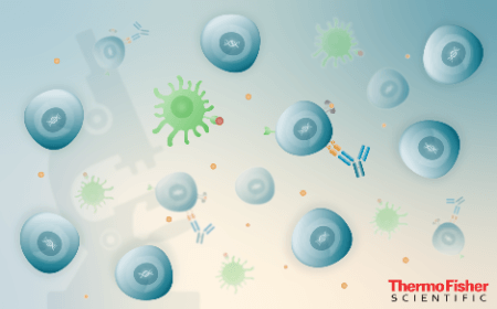 ﻿﻿From the lab to the bench, scaling up regulatory T cell therapy