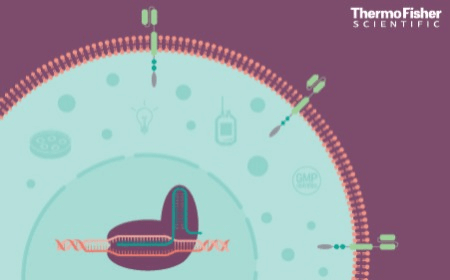 ﻿﻿Clinical-scale non-viral gene edited CAR-NK cells for cell therapy