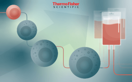 Enabling allogeneic cell therapy development: scaling up generation of PSC-derived NK cells