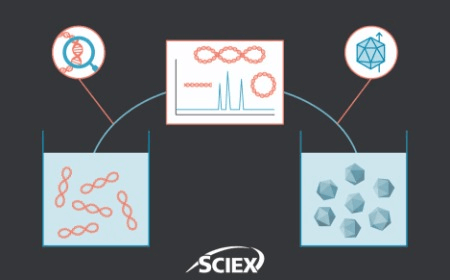 Application of CGE in cell and gene therapy