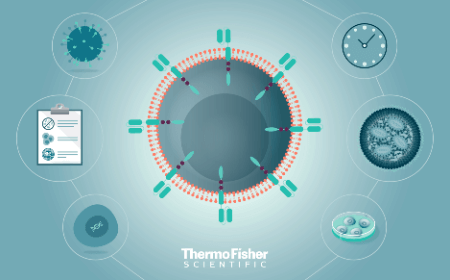 ﻿﻿Optimizing for the future: streamlining the production of T cell-based immunotherapies