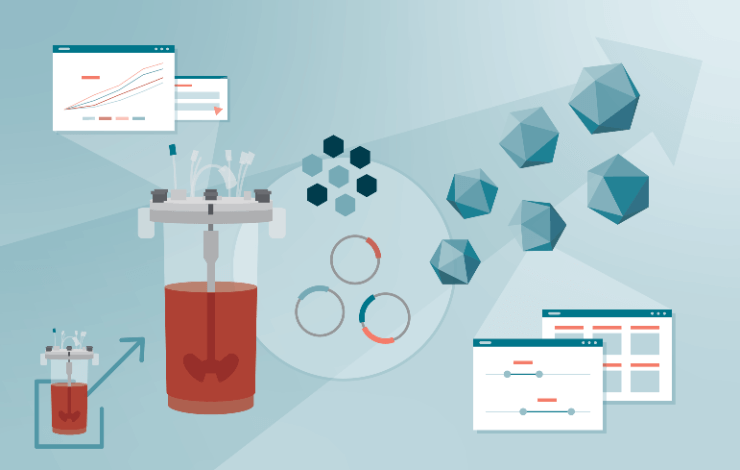 Accelerating AAV production: optimizing compound identification and process parameters