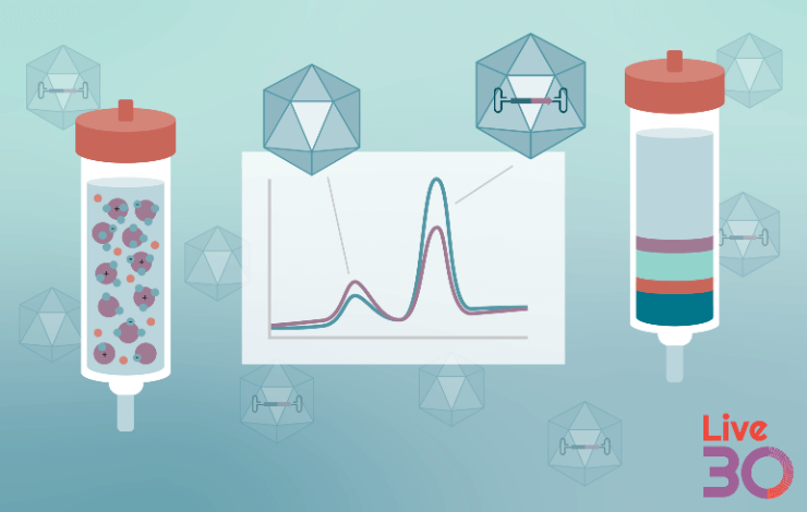 Comparing ultracentrifugation versus AEX for successful AAV purification