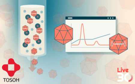 Advances in the separation and analysis of AAV-based gene delivery vectors