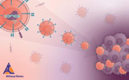 Enhancing CAR-T efficacy for targeting lymphoma and solid tumors