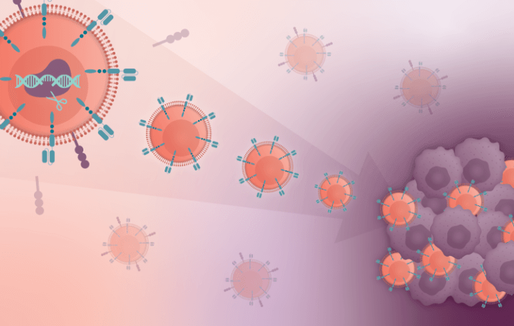 Enhancing CAR-T efficacy for targeting lymphoma and solid tumors