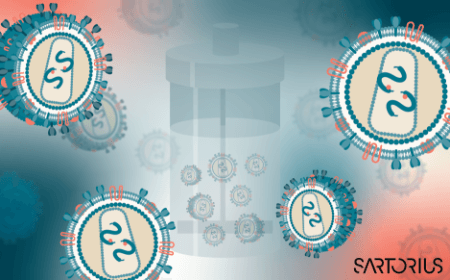 Scalable solutions for optimizing lentiviral vector production