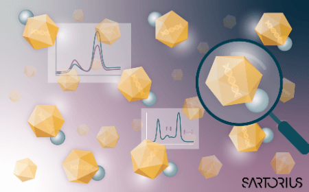 AAV capsid analysis and quantification with chromatography and ultracentrifugation-based techniques