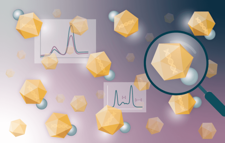 AAV capsid analysis and quantification with chromatography and ultracentrifugation-based techniques