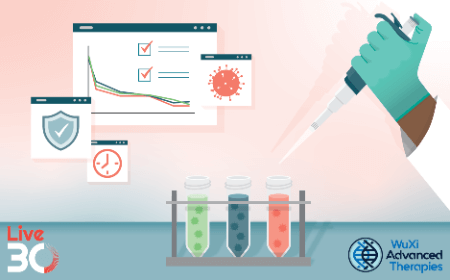 Modernizing viral clearance study strategy: regulatory updates and industry best practices