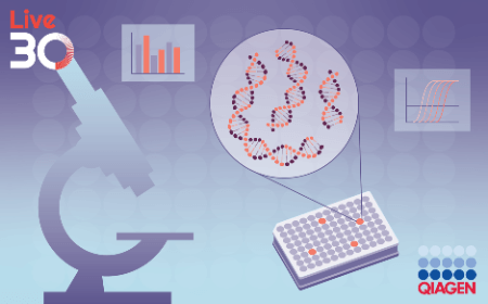 High-throughput, automated tissue processing for preclinical safety assessment of cell and gene therapies