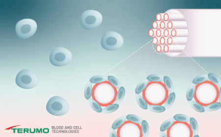 Advancing cell therapy: Optimizing the cell culture environment for high-quality manufacture of suspension and adherent cells