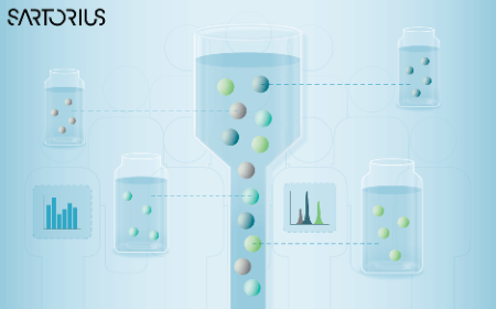 Harnessing flow cytometry for high-throughput screening in immunotherapy development