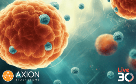 ﻿﻿Assessing CAR-T cell therapy in vitro using patient-derived glioblastoma organoids