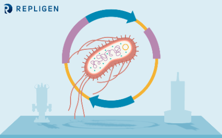 Precision in production: optimizing monitoring and quality control for high-value plasmids