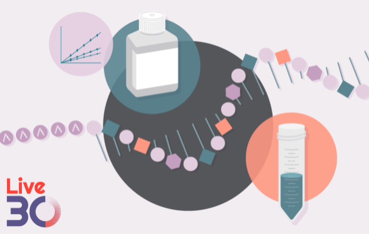 Process optimization of mRNA purification for vaccines and therapeutic applications