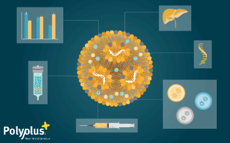 ﻿﻿Unlocking mRNA-LNP potential using a novel lipid library combined with innovative analytical methods