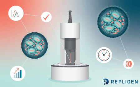 Solving unique analytical challenges in mRNA-LNP bioprocessing with precise measurement methods