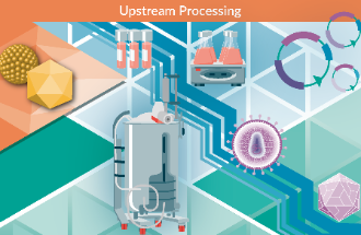 Upstream processing