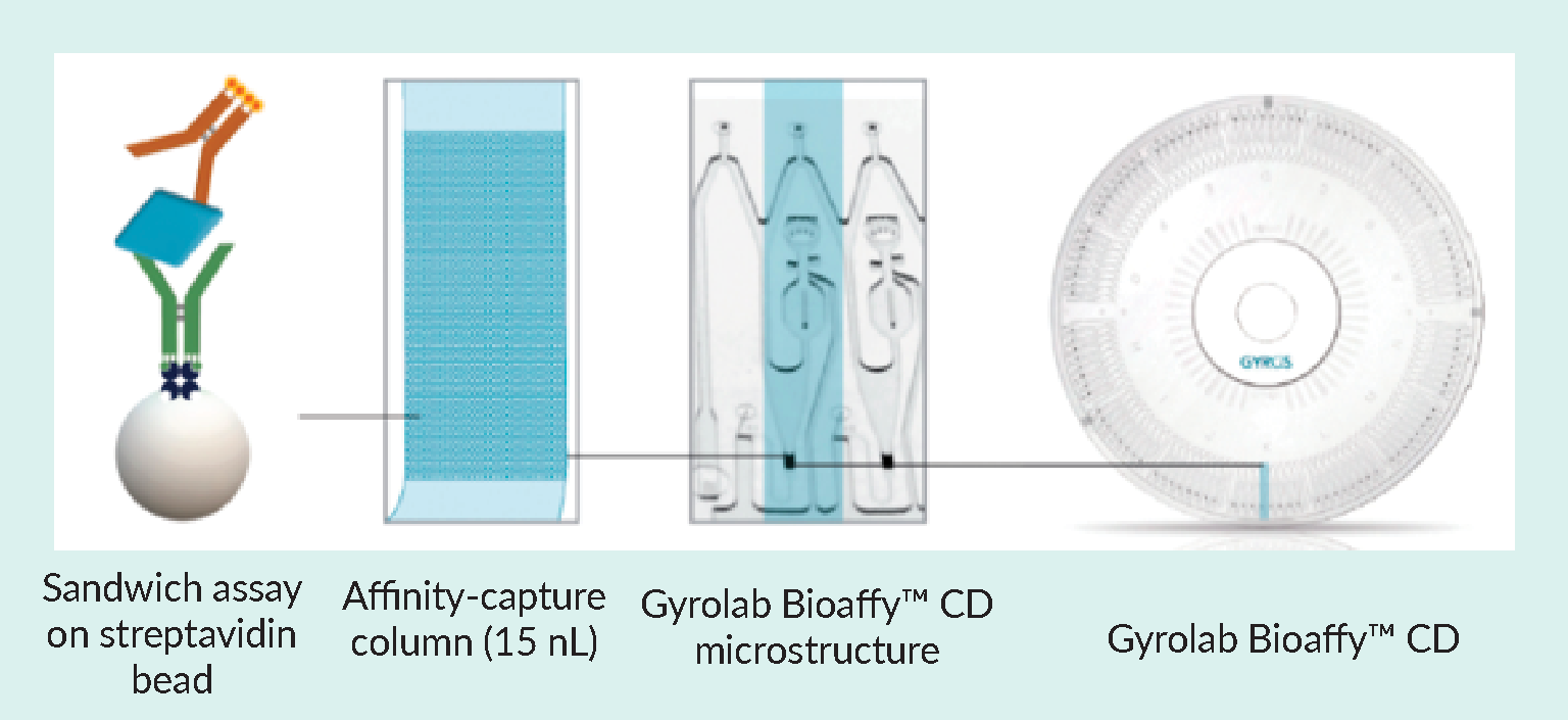 Parallel processing of Gyrolab CD-based immunoassays on streptavidin beads within the affinity capture column uses centrifugal force and capillary action to precisely control the flow of reagents and samples over the column. On-column laser-induced fluorescence results are read automatically, and results are ready to analyze at the end of the run. The short contact times minimize matrix interference and dramatically shorten assay times.