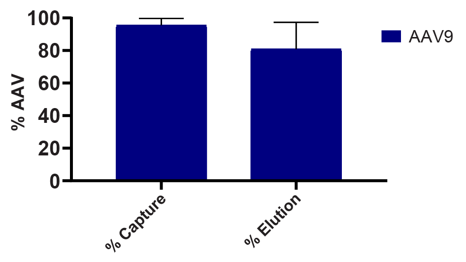 n = 3, error bars represent standard deviation of the mean.