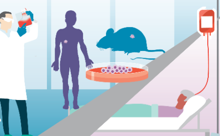 Advancement of precision oncology by integration of highly sensitive protein profiling technologies and patient-derived cell models for functional efficacy testing