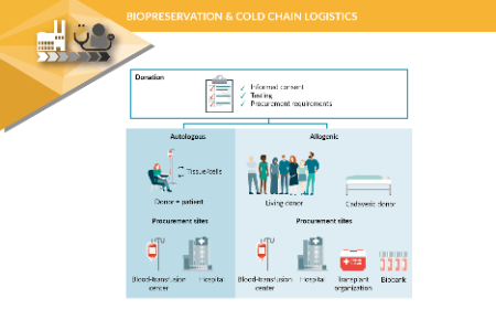 The supply chain: key considerations for biological starting material for ATMPs production