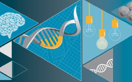 Monoclonal antibodies to enable therapeutic tolerance to stem cell derived transplants?