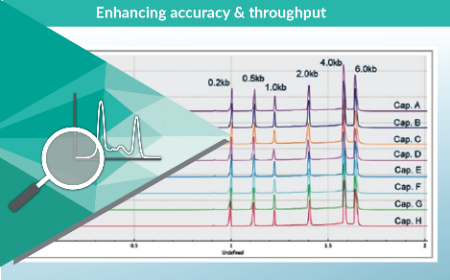 Accelerating AAV capsid analysis using a new multi-capillary electrophoresis platform