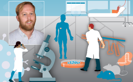 Harnessing components of the immune system in bioengineered 3D tumor models