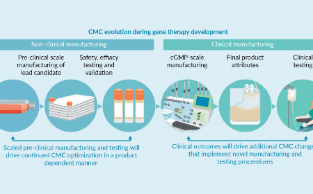 The Chemistry Manufacturing and Controls (CMC) section of gene therapy-based INDs: overview in a changing landscape