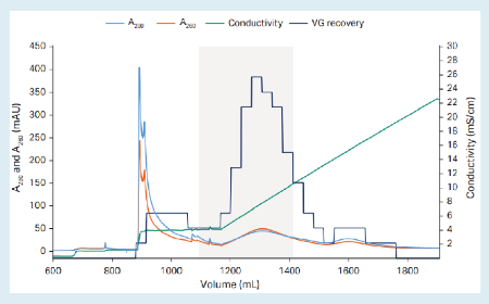 From cells to purified capsids: How to develop a scalable rAAV process