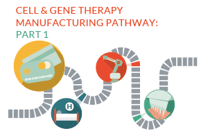 Spotlight on the cell & gene therapy manufacturing pathway