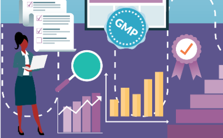 Challenges in AAV manufacturing: the interplay of process variations, in-process characterization, and drug product quality