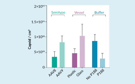 Adeno-associated virus adsorption on different surfaces relevant to production of pre-clinical & clinical material