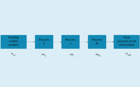 Producing cell-based therapeutic products with lot-to-lot consistency from highly variable starting cell products